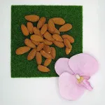 Mandel naturbelassen – Oazis Natur