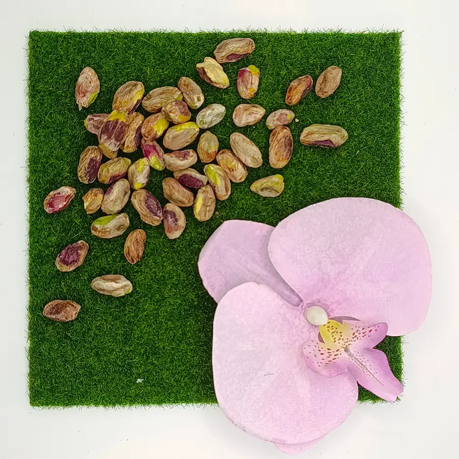 Pistazien ohne Schale – Oazis Natur