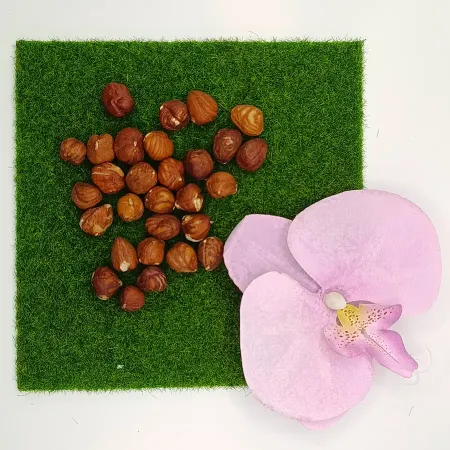 Haselnüsse – naturbelassen