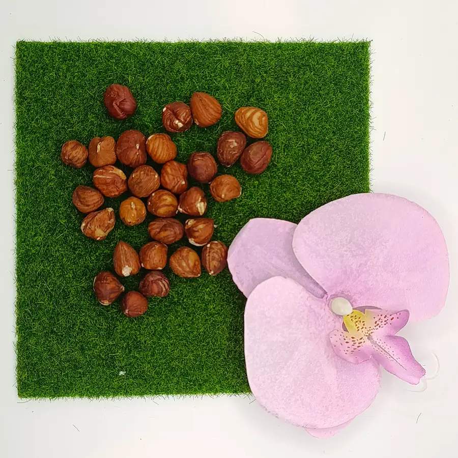 Haselnüsse naturbelassen – Oazis Natur